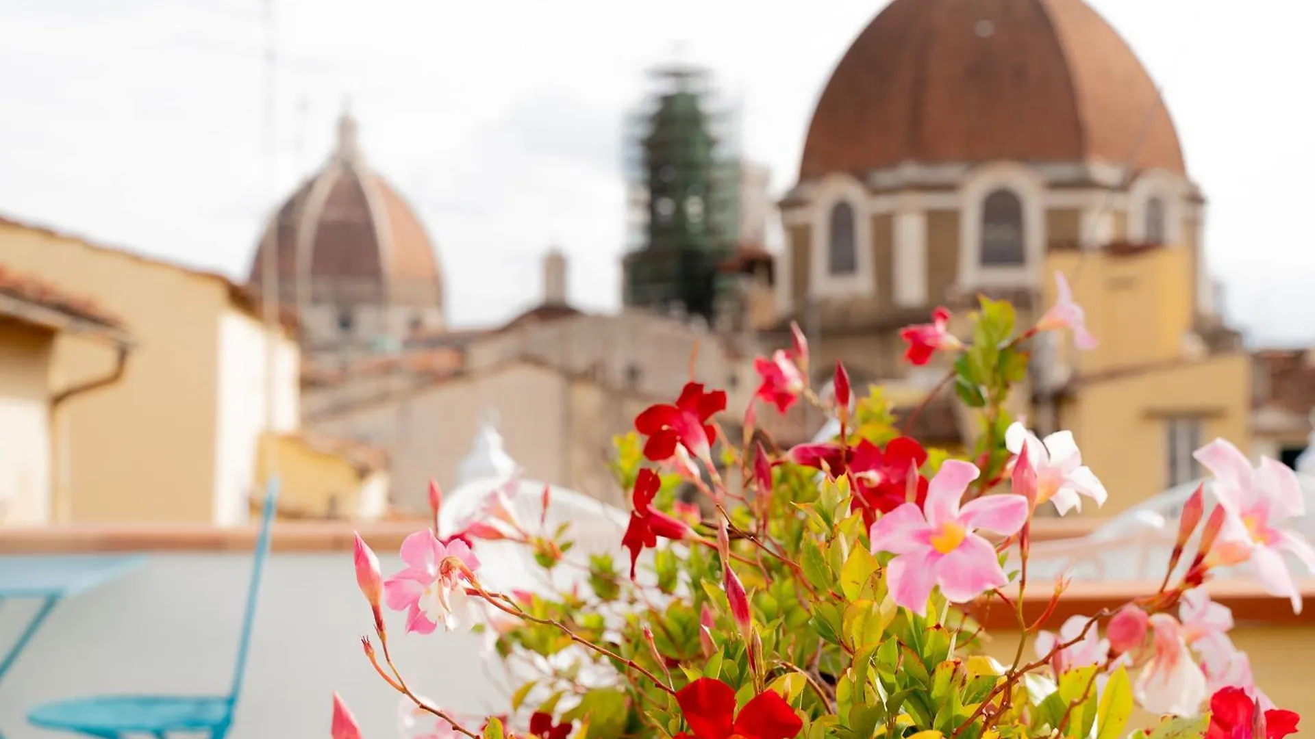 The Florence Dream Terrace - Lea Blue Italy